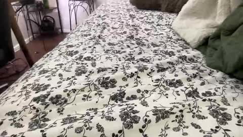 Snapshot of hotmama6666 chatting on 02/04/26, 12:05 Annabelle online show from 02/04/26, 12:05