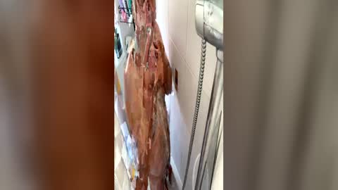 hotman7423 online show from 07/05/26, 02:35