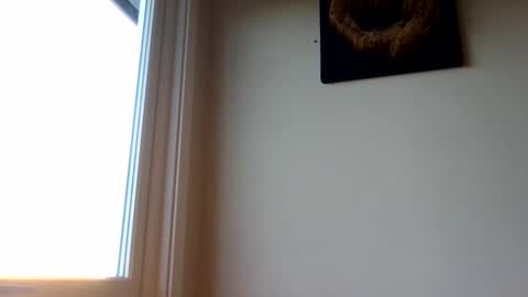 hototo2 online show from 11/25/25, 11:32