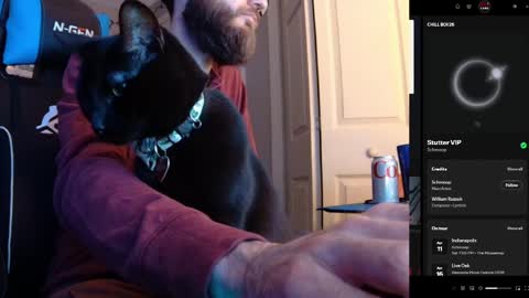 Snapshot of hotpumpkinpies chatting on 04/05/26, 02:31 hotpumpkinpies online show from 04/05/26, 02:31