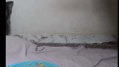 hottylissa1 online show from 09/26/25, 08:35