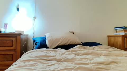 Lili Vixen online show from 02/04/25, 04:48