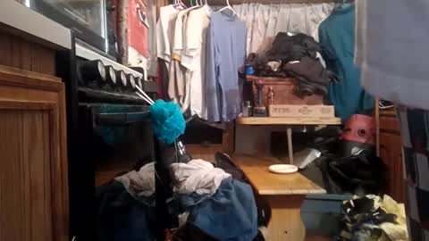 houndmefromhell online show from 12/02/24, 10:50