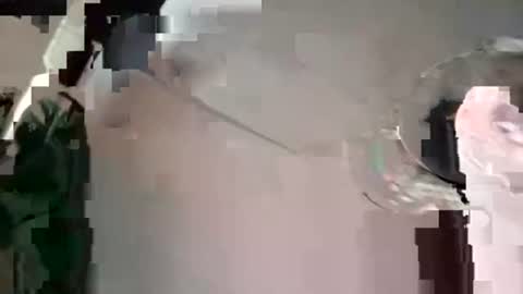 houndmefromhell online show from 12/04/24, 07:45