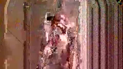 houndmefromhell online show from 12/05/25, 05:05