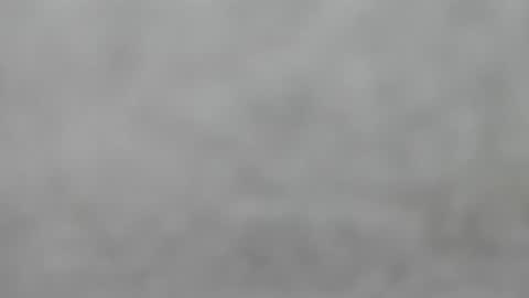 Snapshot of hourg chatting on 09/14/25, 04:44 Slutty little female cat online show from 09/14/25, 04:44