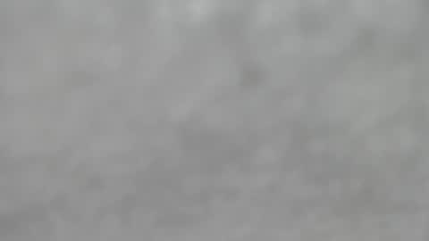 Snapshot of hourg chatting on 10/12/25, 04:33 Slutty little female cat online show from 10/12/25, 04:33