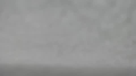 Snapshot of hourg chatting on 10/18/25, 04:48 Slutty little female cat online show from 10/18/25, 04:48