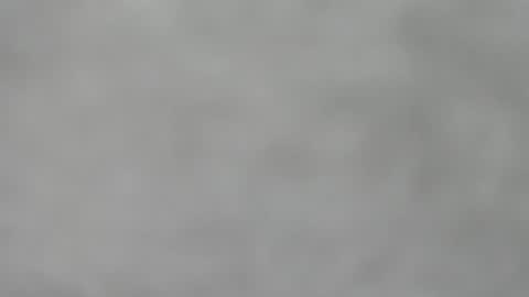 Snapshot of hourg chatting on 11/16/25, 04:40 Slutty little female cat online show from 11/16/25, 04:40