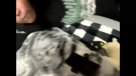 htfsb online show from 02/15/26, 01:57