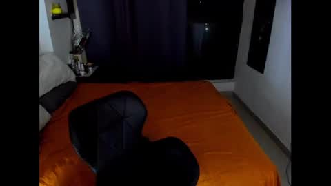 Snapshot of hugedaneska chatting on 01/31/25, 06:35 Danezka online show from 01/31/25, 06:35