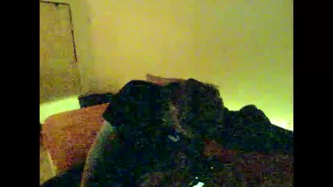 Snapshot of hugobergeron chatting on 01/04/25, 10:49 HugoBergeron82 online show from 01/04/25, 10:49