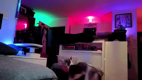 Hugo online show from 02/25/25, 08:41