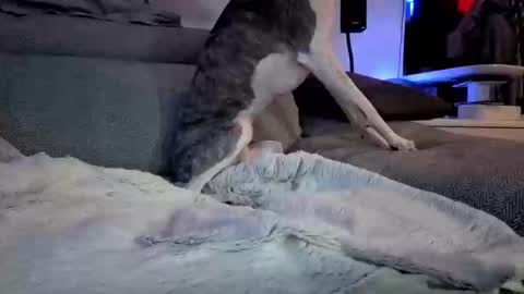 Hugo online show from 03/10/25, 08:12