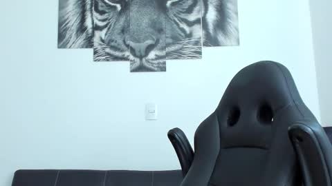 Snapshot of humber_eli chatting on 11/04/25, 12:04 Eli online show from 11/04/25, 12:04