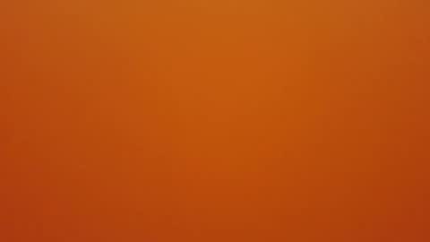 Snapshot of hundeleine chatting on 12/16/25, 09:03 hundeleine online show from 12/16/25, 09:03