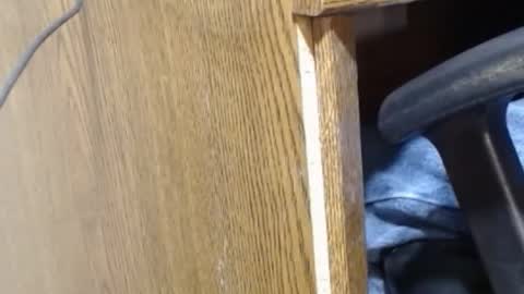 Snapshot of hungsofine chatting on 12/23/24, 09:40 hungsofine online show from 12/23/24, 09:40