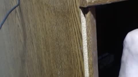 Snapshot of hungsofine chatting on 12/29/24, 06:16 hungsofine online show from 12/29/24, 06:16