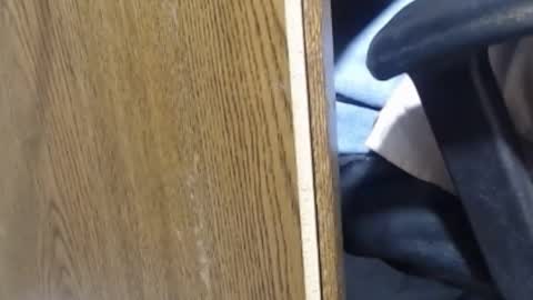 Snapshot of hungsofine chatting on 01/13/25, 10:03 hungsofine online show from 01/13/25, 10:03