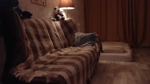 elisabeth online show from 12/13/24, 06:27