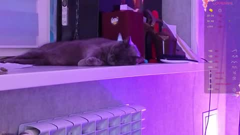 Snapshot of i_see_aysi chatting on 03/06/26, 03:08 Aysi online show from 03/06/26, 03:08