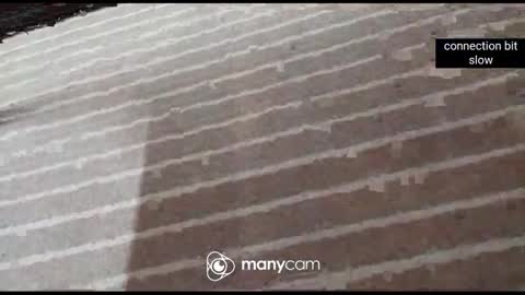 Snapshot of iam_jp084 chatting on 01/07/26, 01:02 JP online show from 01/07/26, 01:02