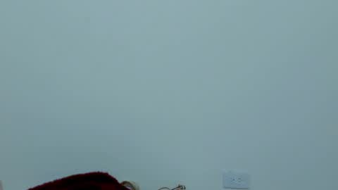Snapshot of iamevaaa chatting on 02/21/25, 01:55 Eva online show from 02/21/25, 01:55