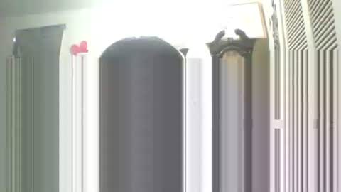 Snapshot of iamproprojectcandysugarbaby chatting on 09/13/25, 01:55 I LOVE MY COCONUT EAT MY COCONUTS online show from 09/13/25, 01:55