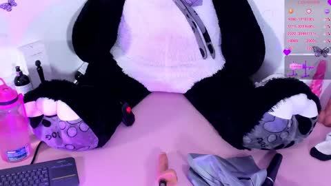 Snapshot of iamstephanie13 chatting on 01/23/25, 05:56 Steph - Online Again   - 1 DECEMBER online show from 01/23/25, 05:56