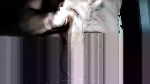 Snapshot of iamtheswayze chatting on 03/11/26, 10:10 Pat online show from 03/11/26, 10:10