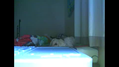 Snapshot of ian_zaenz chatting on 11/07/25, 07:03 Ian is back my loves online show from 11/07/25, 07:03