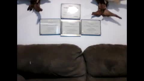 Snapshot of idkwhyidothis348732 chatting on 01/08/25, 08:18 idkwhyidothis348732 online show from 01/08/25, 08:18