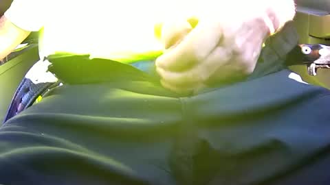 iflash4u online show from 06/12/26, 02:49