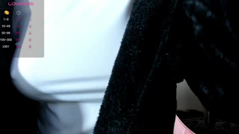 illegal_lorry online show from 12/30/24, 04:53