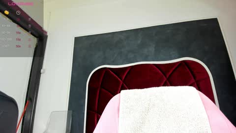 illegal_lorry online show from 01/31/25, 05:30