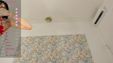 illegal_lorry online show from 10/19/25, 04:57