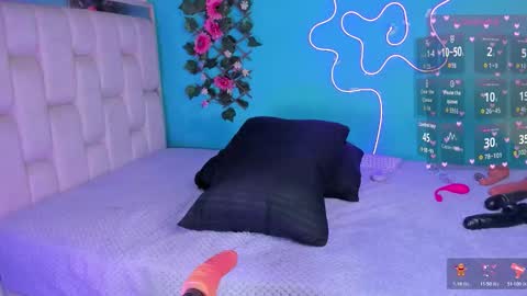 Snapshot of im_foxy011 chatting on 01/15/26, 02:27 foxy online show from 01/15/26, 02:27