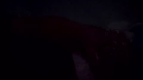 Snapshot of im_free_0121 chatting on 06/30/26, 10:38 im_free_0121 online show from 06/30/26, 10:38