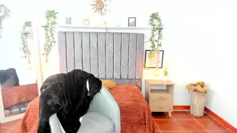 Snapshot of im_tulipan chatting on 02/25/26, 07:56 im_tulipan online show from 02/25/26, 07:56