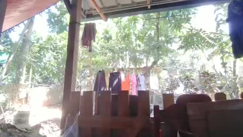 Snapshot of immaculate02 chatting on 02/01/25, 04:46 Immaculate02 online show from 02/01/25, 04:46