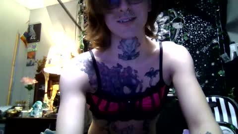 SlyKitten online show from 02/21/26, 02:56
