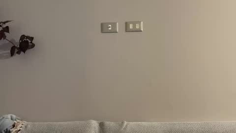incognitolife online show from 12/28/24, 03:04
