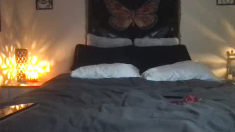 Snapshot of indigobay chatting on 02/16/25, 07:26 Indigo Bay online show from 02/16/25, 07:26