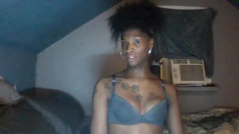 kendaLin online show from 06/28/26, 08:42