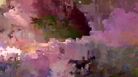 inhertube15 online show from 12/28/24, 10:03