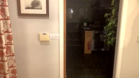 Snapshot of inkpiggy chatting on 02/20/26, 12:51 inkpiggy online show from 02/20/26, 12:51