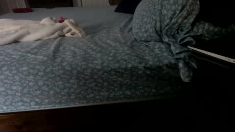 Snapshot of insatiablecpl333 chatting on 01/23/25, 02:07 InsatiableCpl333 online show from 01/23/25, 02:07