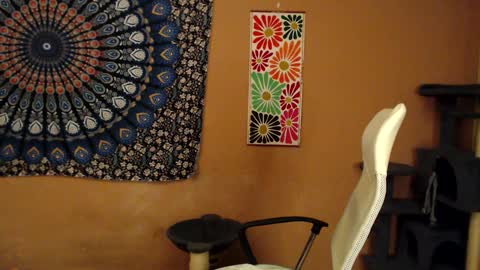 Snapshot of intimatetales chatting on 01/05/25, 08:10 Africa online show from 01/05/25, 08:10