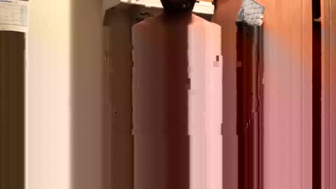 Snapshot of inyourmouthagain83 chatting on 10/08/25, 09:29 inyourmouthagain online show from 10/08/25, 09:29