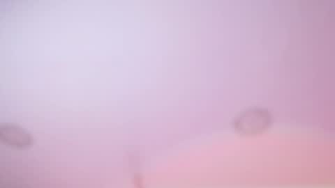 Iirs online show from 02/18/26, 03:02